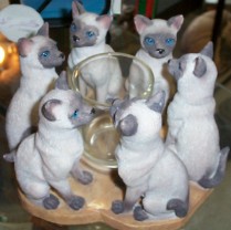 Click to see larger image of the Siamese cat circle