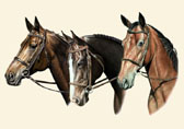 Click to see larger image of the Three Thoroughbreds keychain